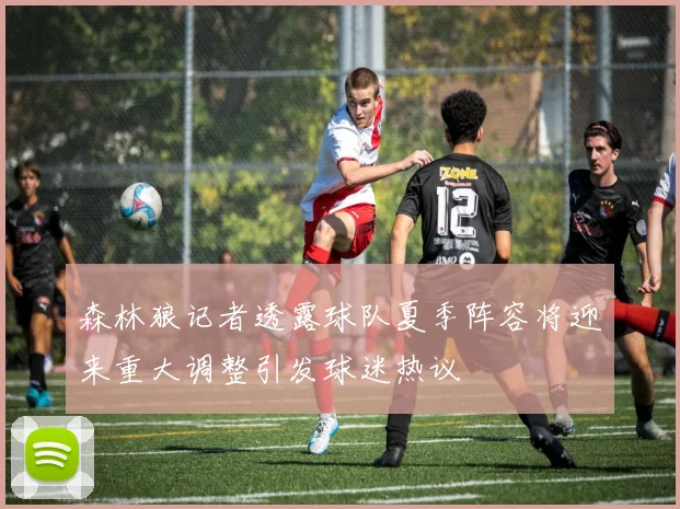 森林狼记者透露球队夏季阵容将迎来重大调整引发球迷热议