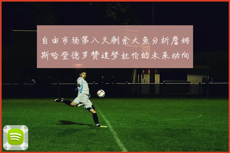 自由市场第八天剩余大鱼分析詹姆斯哈登德罗赞追梦杜伦的未来动向